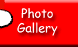 Photo Gallery